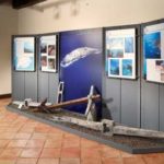 Tesori nascosti. Archeologia a Maratea archeologia subacquea maratea
