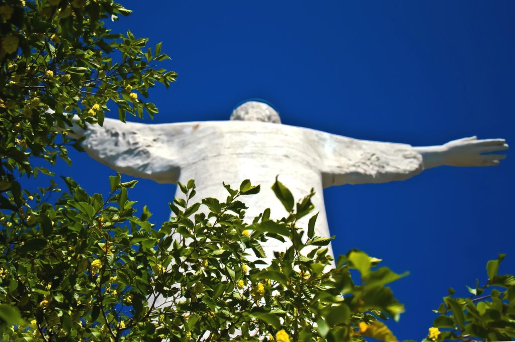 statua del cristo redentore tra la vegetazione